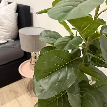 Neu Goldstadt Luxe Studio- Schloessle